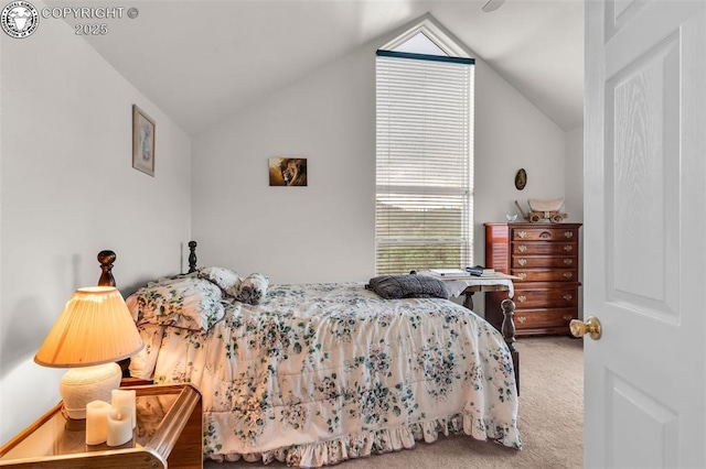 987 38th Trl, Cotopaxi, CO 81223 - photo 31