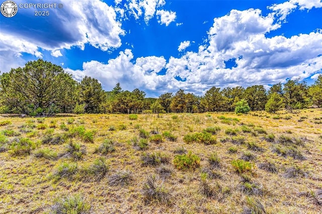 987 38th Trl, Cotopaxi, CO 81223 - photo 41