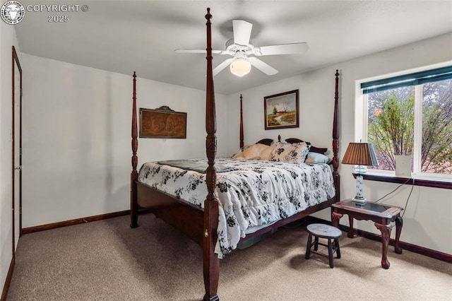 987 38th Trl, Cotopaxi, CO 81223 - photo 39