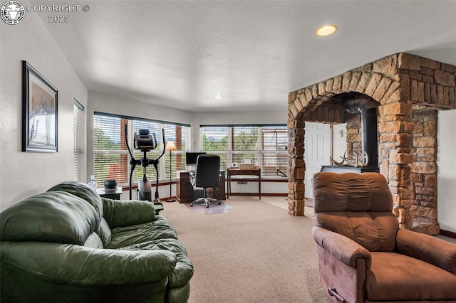 987 38th Trl, Cotopaxi, CO 81223 - photo 27