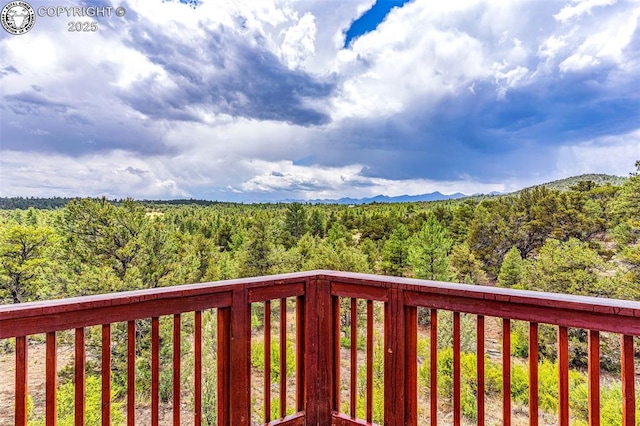 987 38th Trl, Cotopaxi, CO 81223 - photo 33