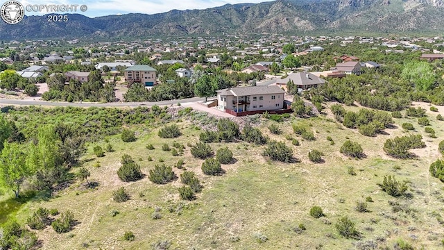 29 Kyndra Ct, Canon City, CO 81212 - photo 38