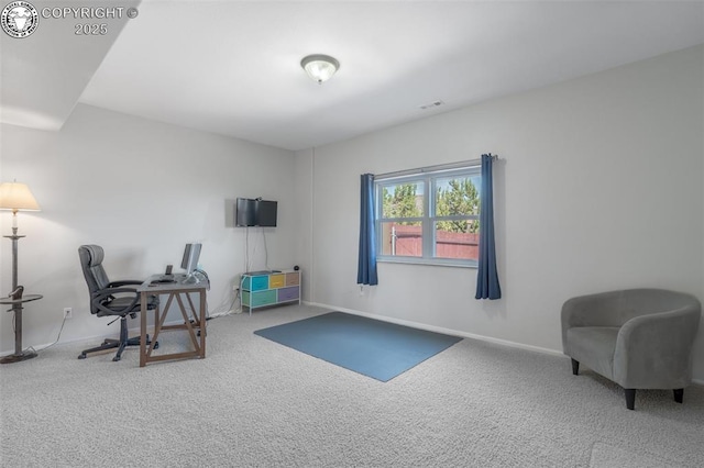 29 Kyndra Ct, Canon City, CO 81212 - photo 24