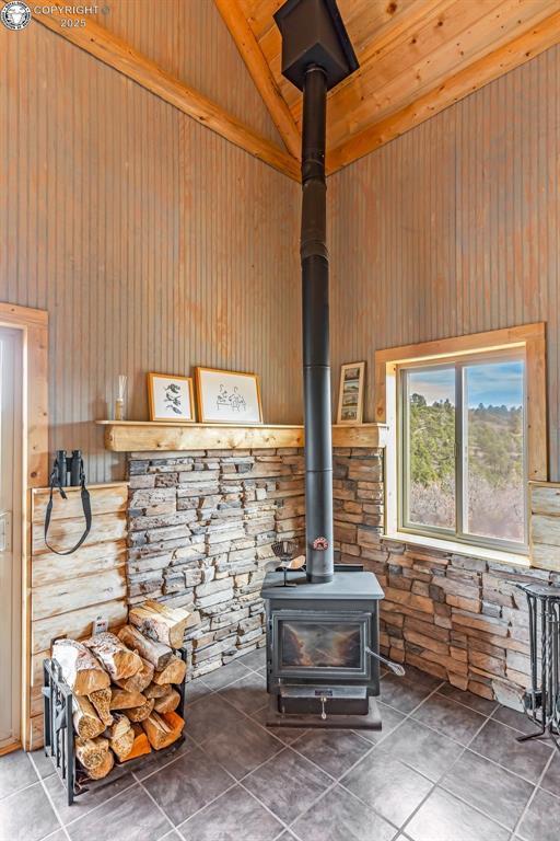 details featuring wooden walls and a wood stove