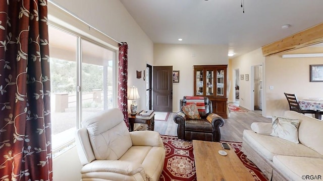 living room featuring light hardwood / wood-style floors