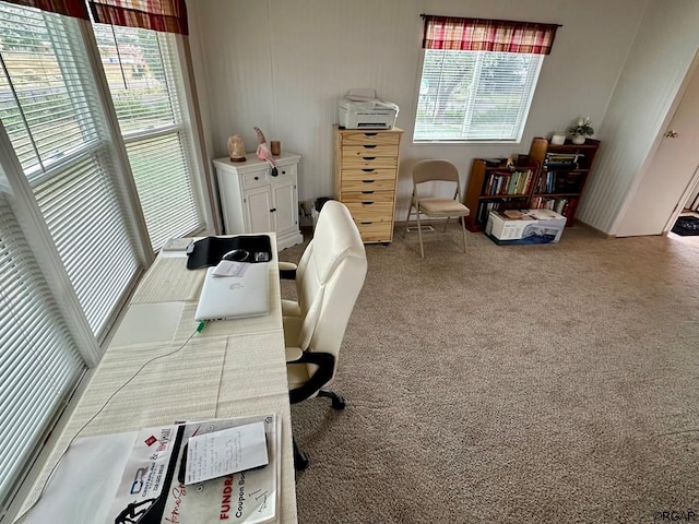 office featuring carpet