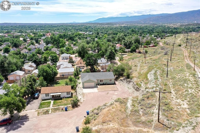 412 Cooper Ave, Canon City, CO 81212 - photo 37