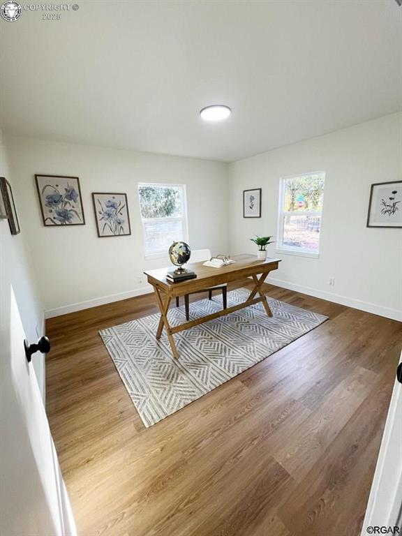 office area featuring a healthy amount of sunlight, baseboards, and dark wood-style flooring