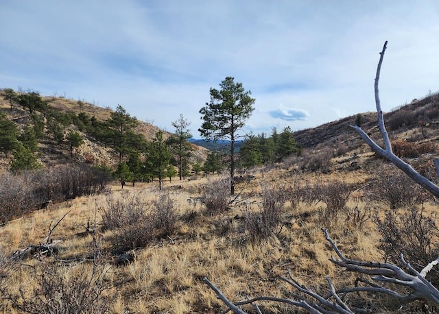 961 Shannon Trl, Cotopaxi CO, 81223 land for sale