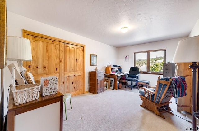 office area featuring light colored carpet and a textured ceiling