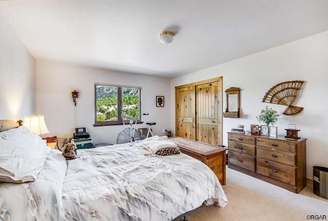 carpeted bedroom with a closet