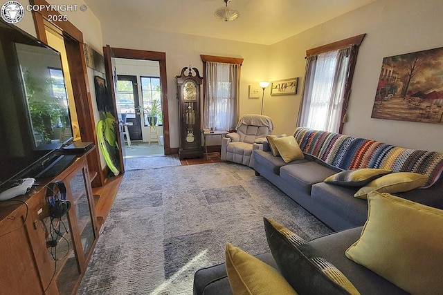 living room featuring hardwood / wood-style flooring