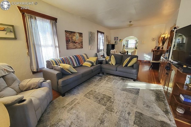 living room featuring wood-type flooring