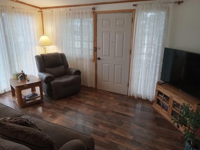 living room featuring ornamental molding and dark hardwood / wood-style floors