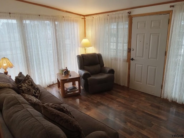 living room with lofted ceiling, ornamental molding, and dark hardwood / wood-style floors