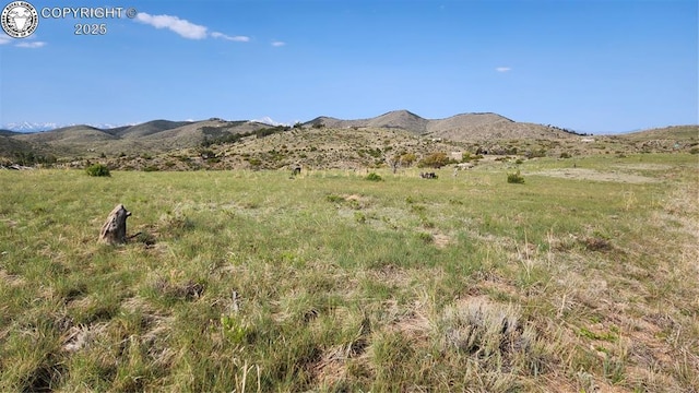 56 Kit Carson Ln, Cotopaxi, CO 81223 - photo 13