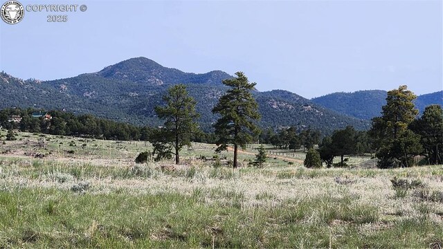 56 Kit Carson Ln, Cotopaxi, CO 81223 - photo 11