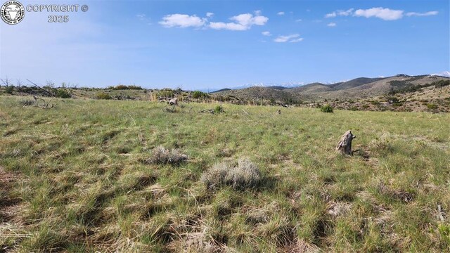 56 Kit Carson Ln, Cotopaxi, CO 81223 - photo 7