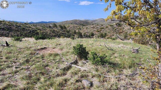 56 Kit Carson Ln, Cotopaxi, CO 81223 - photo 6
