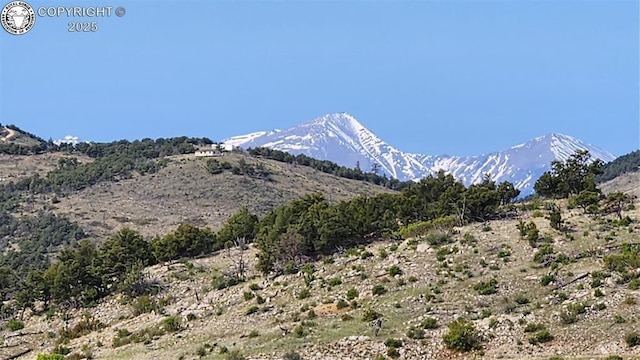 56 Kit Carson Ln, Cotopaxi, CO 81223 - photo 12