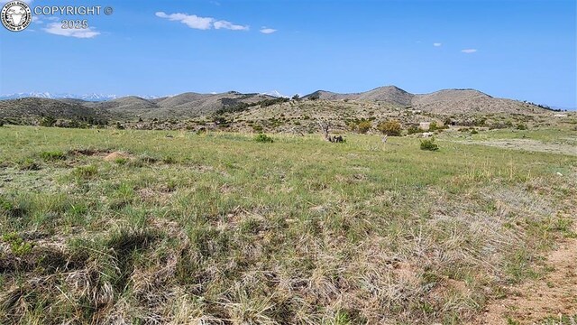 56 Kit Carson Ln, Cotopaxi, CO 81223 - photo 16