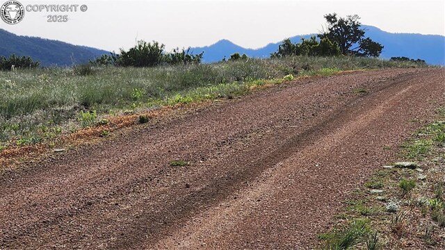 56 Kit Carson Ln, Cotopaxi, CO 81223 - photo 17
