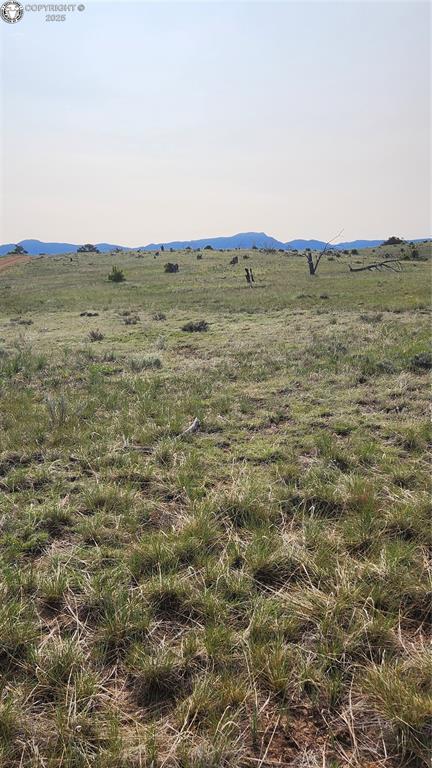 56 Kit Carson Ln, Cotopaxi, CO 81223 - photo 25
