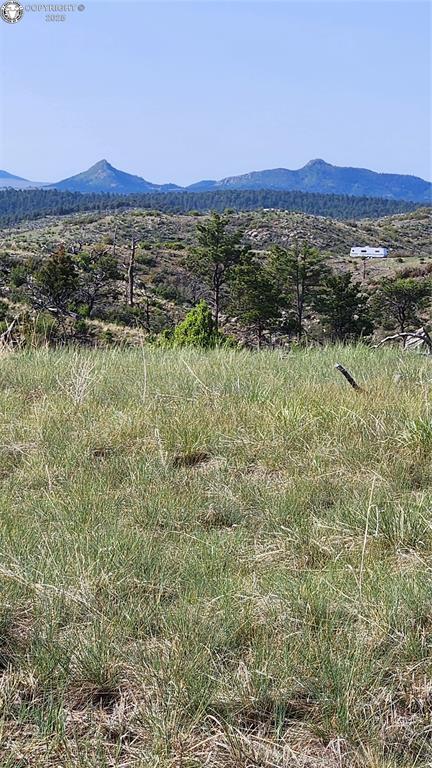 56 Kit Carson Ln, Cotopaxi, CO 81223 - photo 22