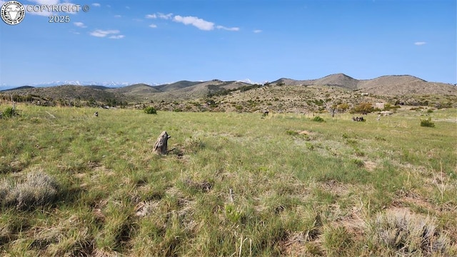 56 Kit Carson Ln, Cotopaxi, CO 81223 - photo 9