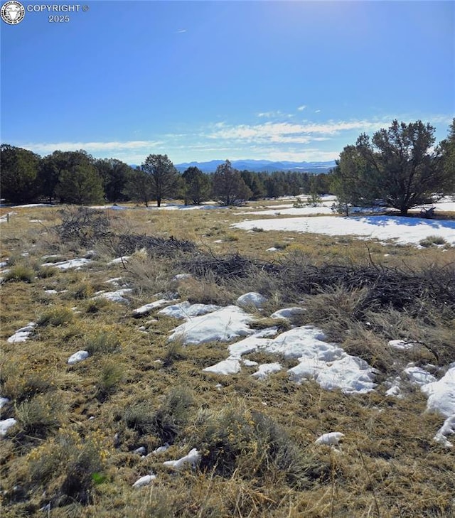 Listing photo 3 for TBD 31st Trail, Cotopaxi CO 81223