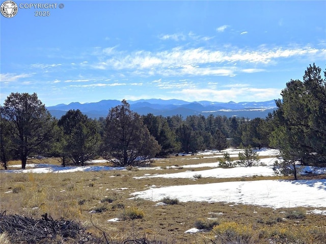 TBD 31st Trail, Cotopaxi CO, 81223 land for sale