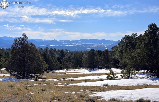 Listing photo 2 for TBD 31st Trail, Cotopaxi CO 81223