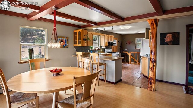 4351 County Road 12, Cotopaxi, CO 81223
