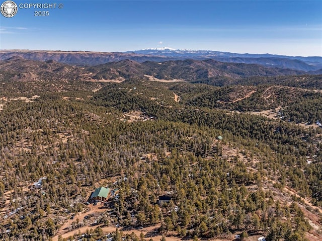 472 Basswood Ln, Canon City, CO 81212 - photo 39