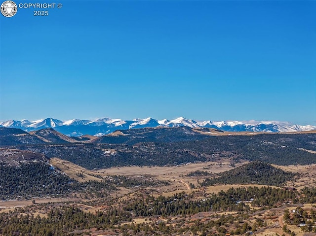 472 Basswood Ln, Canon City, CO 81212 - photo 34