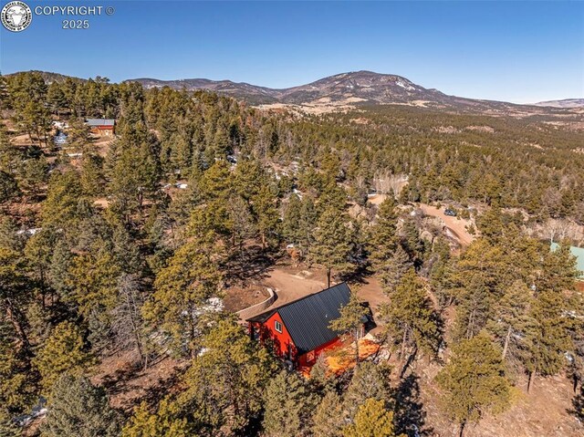 472 Basswood Ln, Canon City, CO 81212 - photo 28
