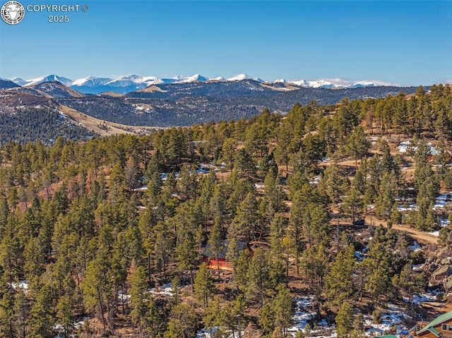 472 Basswood Ln, Canon City, CO 81212 - photo 36