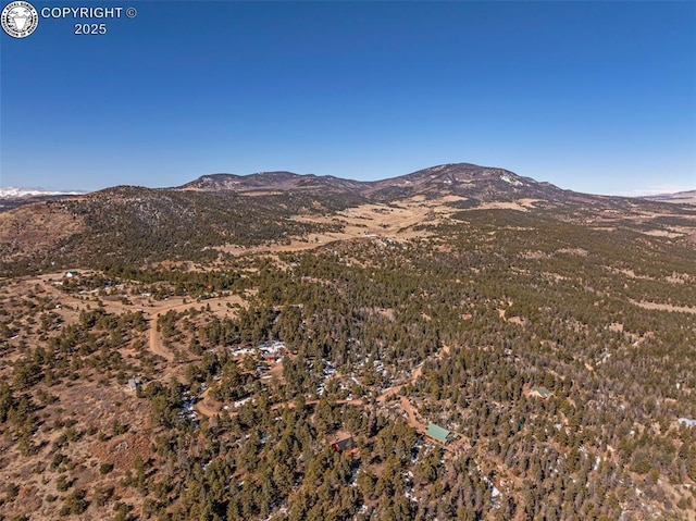 472 Basswood Ln, Canon City, CO 81212 - photo 37