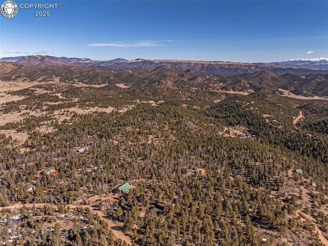 472 Basswood Ln, Canon City, CO 81212 - photo 38