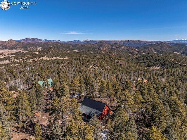 472 Basswood Ln, Canon City, CO 81212 - photo 27