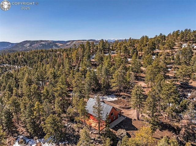472 Basswood Ln, Canon City, CO 81212 - photo 29