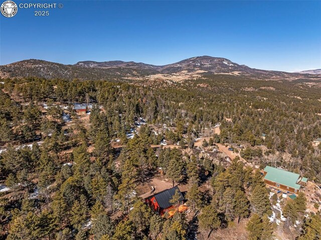472 Basswood Ln, Canon City, CO 81212 - photo 31