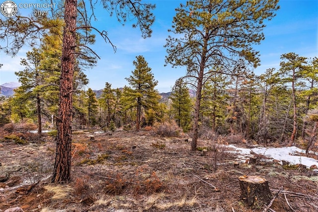 view of landscape featuring a view of trees