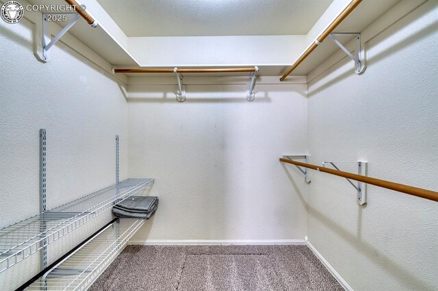 562 Brookeway, Florence, CO 81226 - photo 22
