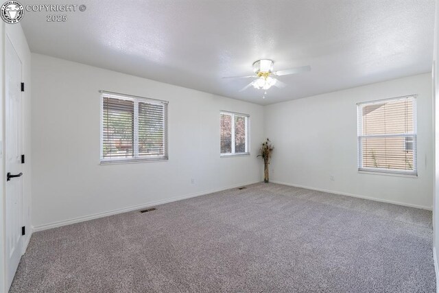562 Brookeway, Florence, CO 81226 - photo 20