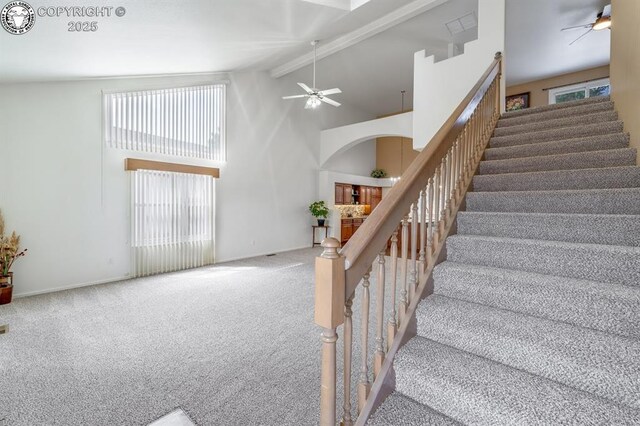 562 Brookeway, Florence, CO 81226 - photo 26
