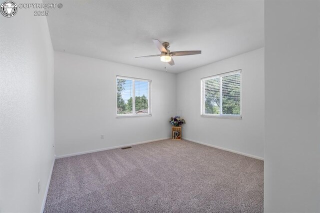562 Brookeway, Florence, CO 81226 - photo 31