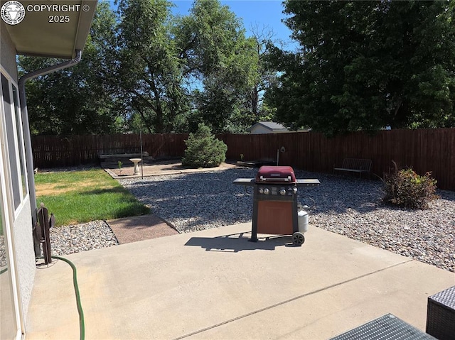 2823 River Run Ct, Canon City, CO 81212 - fenced backyard with a grill and a patio