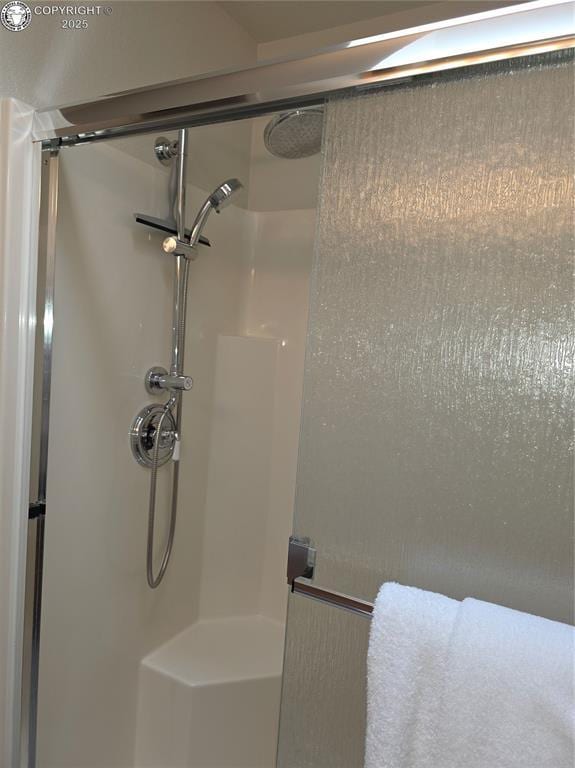 2823 River Run Ct, Canon City, CO 81212 - bathroom with a stall shower