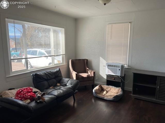 505 Broadway St, Penrose, CO 81240 - photo 24